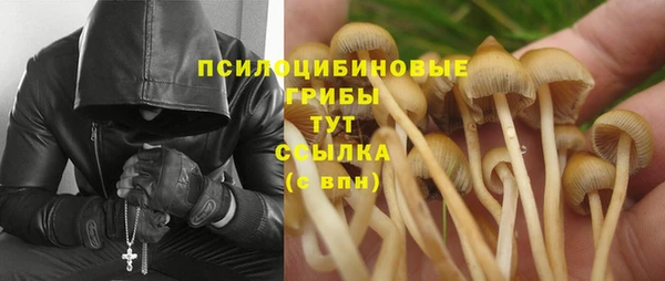 MDMA Premium VHQ Бронницы