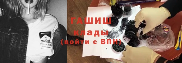 твердый Бородино