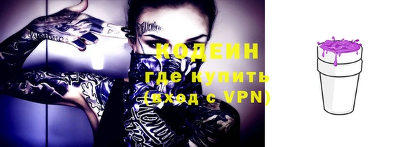 твердый Бородино