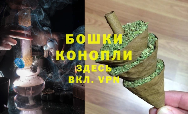 твердый Бородино