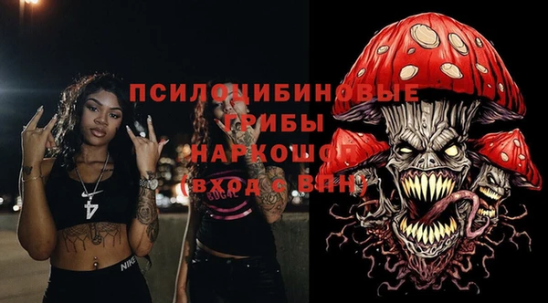 твердый Бородино