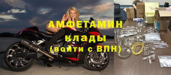 твердый Бородино