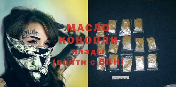 твердый Бородино