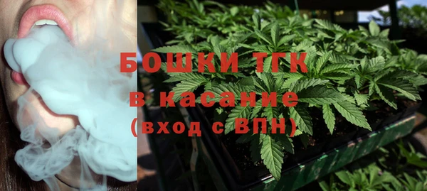 твердый Бородино