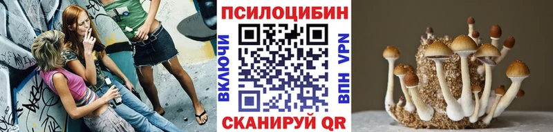 купить наркоту  Верея  Галлюциногенные грибы мухоморы 